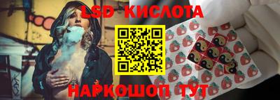 соль ск Будённовск