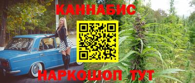 соль ск Будённовск