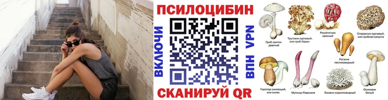 Псилоцибиновые грибы GOLDEN TEACHER  как найти   Кушва 