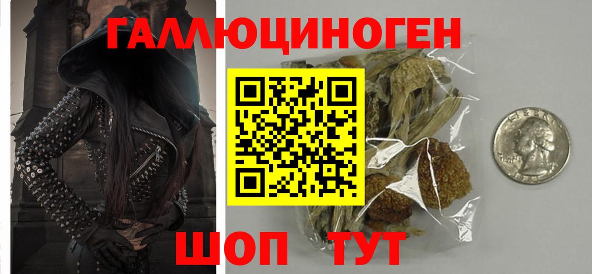 купить наркотики сайты  Вход с VPN  Псилоцибиновые грибы MAGIC MUSHROOMS  Кушва  Галлюциногенные грибы прущие грибы 