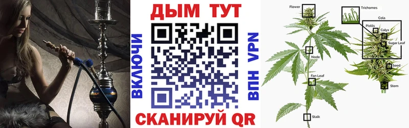 kraken зеркало  Кушва  Конопля Bruce Banner 